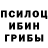 Галлюциногенные грибы GOLDEN TEACHER Ailim PlayShow