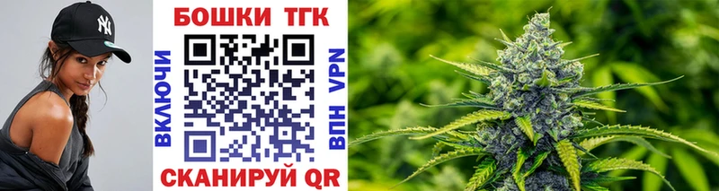 Бошки Шишки план Дорогобуж